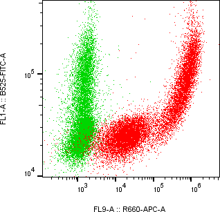 Rabbit-anti CPVL monoclonal antibody