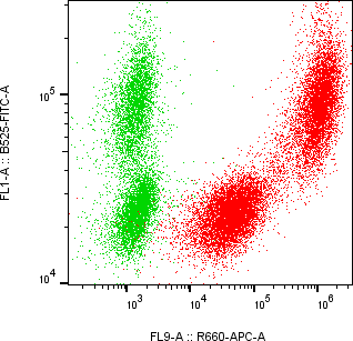 Rabbit-anti REG1B monoclonal antibody