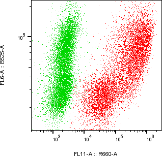 Rabbit-anti GC monoclonal antibody