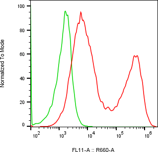 Rabbit-anti ITGB5 monoclonal antibody