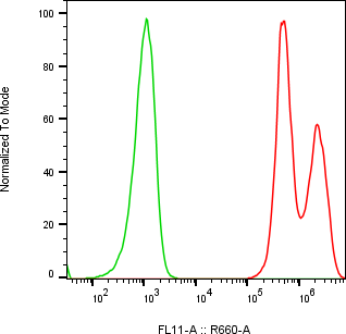 Rabbit-anti TIMP1 monoclonal antibody
