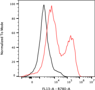 Rabbit-anti MADCAM1 monoclonal antibody