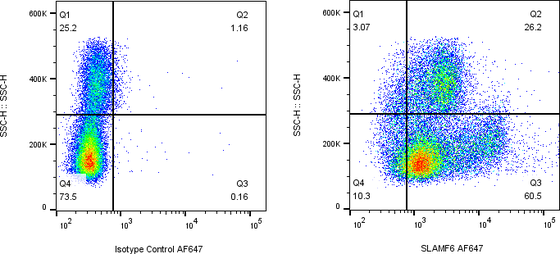 Rabbit-anti SLAMF6 monoclonal antibody