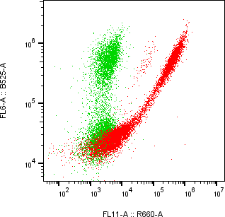 Rabbit-anti SLAMF6 monoclonal antibody