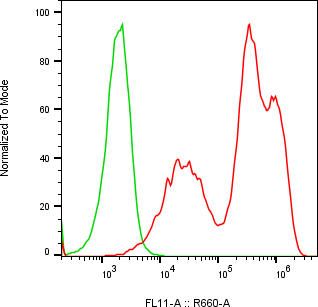Rabbit-anti CBLN4 monoclonal antibody