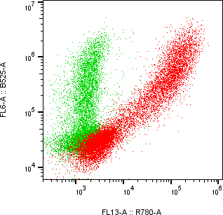 Rabbit-anti VSIG4 monoclonal antibody