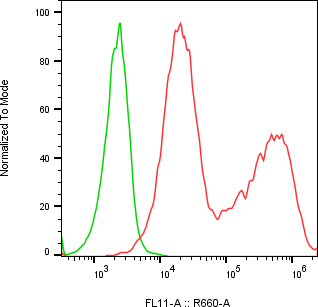 Rabbit-anti DEFB115 monoclonal antibody