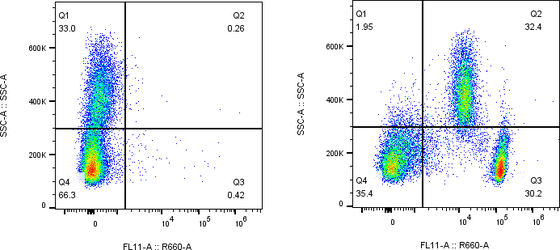Rabbit-anti CD4 monoclonal antibody