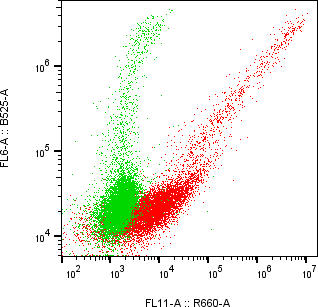 Rabbit-anti EGFR monoclonal antibody