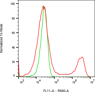 Rabbit-anti TFF2 monoclonal antibody