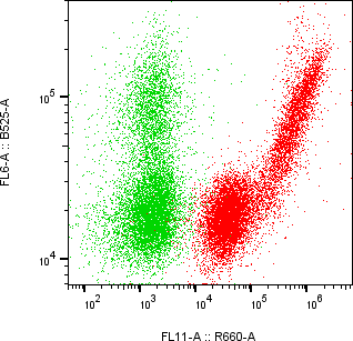 Rabbit-anti GIF monoclonal antibody