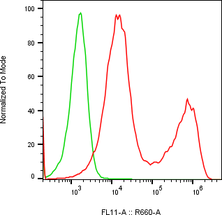 Rabbit-anti SPESP1 monoclonal antibody