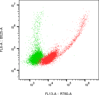 Rabbit-anti KIRREL1 monoclonal antibody