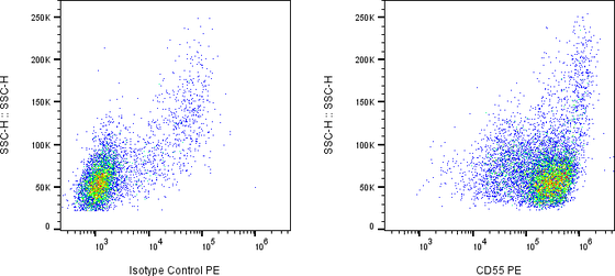 Rabbit-anti CD55 monoclonal antibody