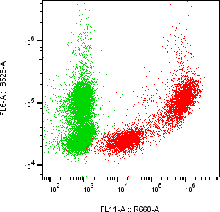 Rabbit-anti SPINK7 monoclonal antibody