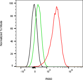 Rabbit-anti hIGF2 monoclonal antibody