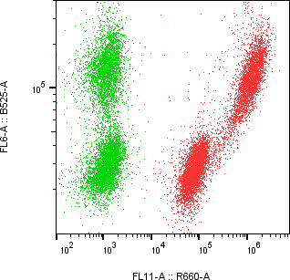 Rabbit-anti CD83 monoclonal antibody
