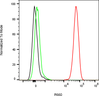 Rabbit-anti SFTPD monoclonal antibody
