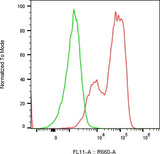 Rabbit-anti LCN1 monoclonal antibody