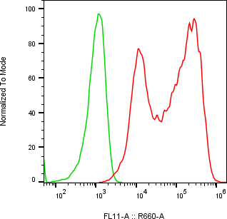 Rabbit-anti MATN4 monoclonal antibody