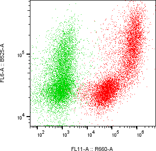 Rabbit-anti CST6 monoclonal antibody