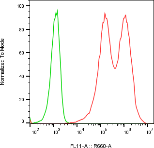 Rabbit-anti DR5 monoclonal antibody