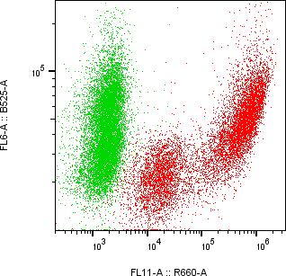 Rabbit-anti AGA monoclonal antibody