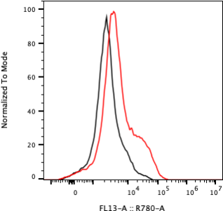 Rabbit-anti KIR3DL2 monoclonal antibody