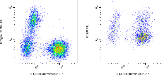 Rabbit-anti ITGB1 monoclonal antibody