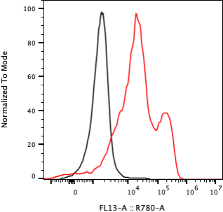 Rabbit-anti EFNA3 monoclonal antibody