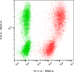 Rabbit-anti DR5 monoclonal antibody
