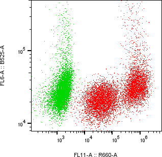Rabbit-anti AZGP1 monoclonal antibody