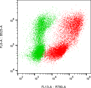 Rabbit-anti CGB8 monoclonal antibody