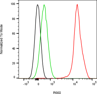 Rabbit-anti APOE monoclonal antibody