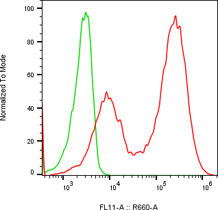 Rabbit-anti AHSG monoclonal antibody