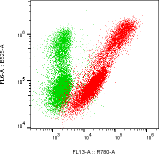 Rabbit-anti EFNA3 monoclonal antibody
