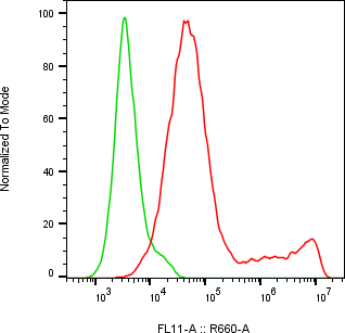 Rabbit-anti CD69 monoclonal antibody