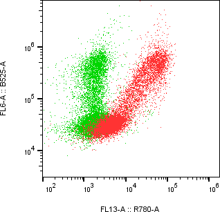 Rabbit-anti CD79B monoclonal antibody