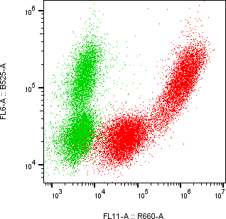 Rabbit-anti APOD monoclonal antibody
