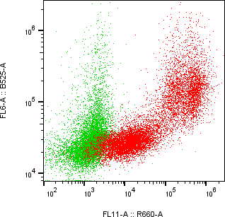 Rabbit-anti ITGB5 monoclonal antibody