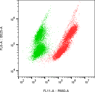 Rabbit-anti IGFBP4 monoclonal antibody