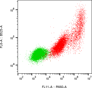 Rabbit-anti CGB2 monoclonal antibody