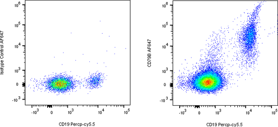 Rabbit-anti CD79B monoclonal antibody