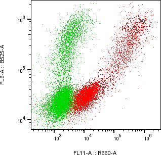 Rabbit-anti CHIT1 monoclonal antibody