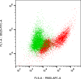 Rabbit-anti IL9 monoclonal antibody