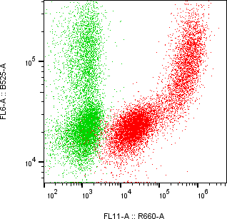 Rabbit-anti CFHR2 monoclonal antibody
