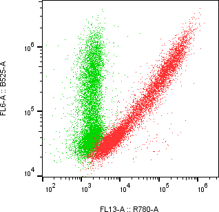 Rabbit-anti CLU monoclonal antibody