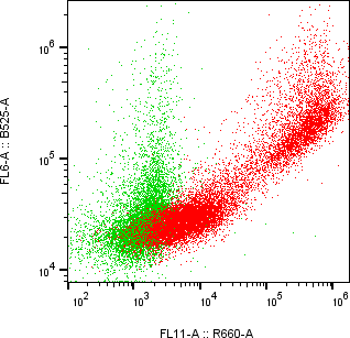 Rabbit-anti ITGB5 monoclonal antibody