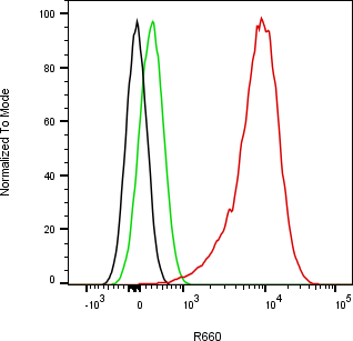 Rabbit-anti IL10 monoclonal antibody