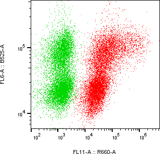 Rabbit-anti CNTFR monoclonal antibody